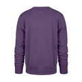 47 Brand Men's Vault Dog W Washington Honor Roll Headline Crewneck thumbnail