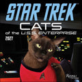 Star Trek: Cats 2027 Wall Calendar thumbnail