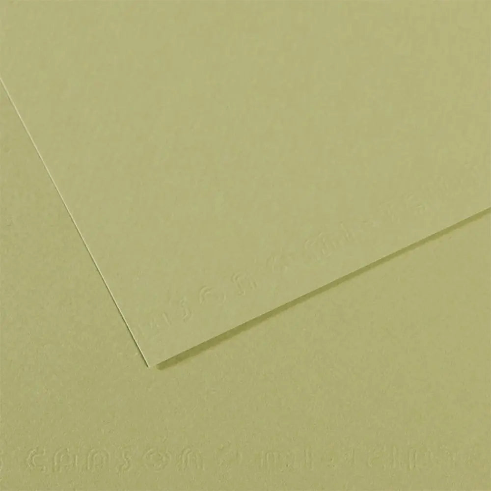 Canson 19x25 Mi-Teintes Paper