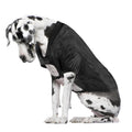 Little Earth W Huskies Big Dog Pet Stretch Jersey thumbnail