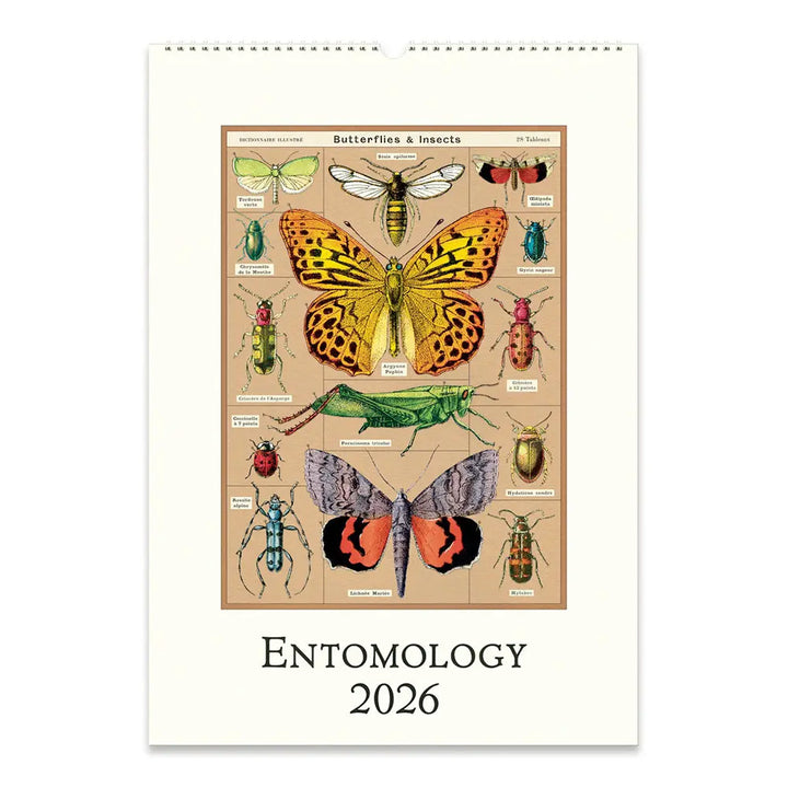 Cavallini Entomology 2026 Wall Calendar