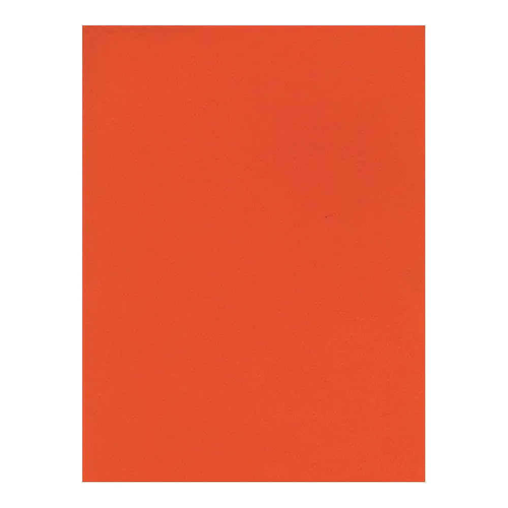 Canson 8.5x11 Mi-Teintes Paper