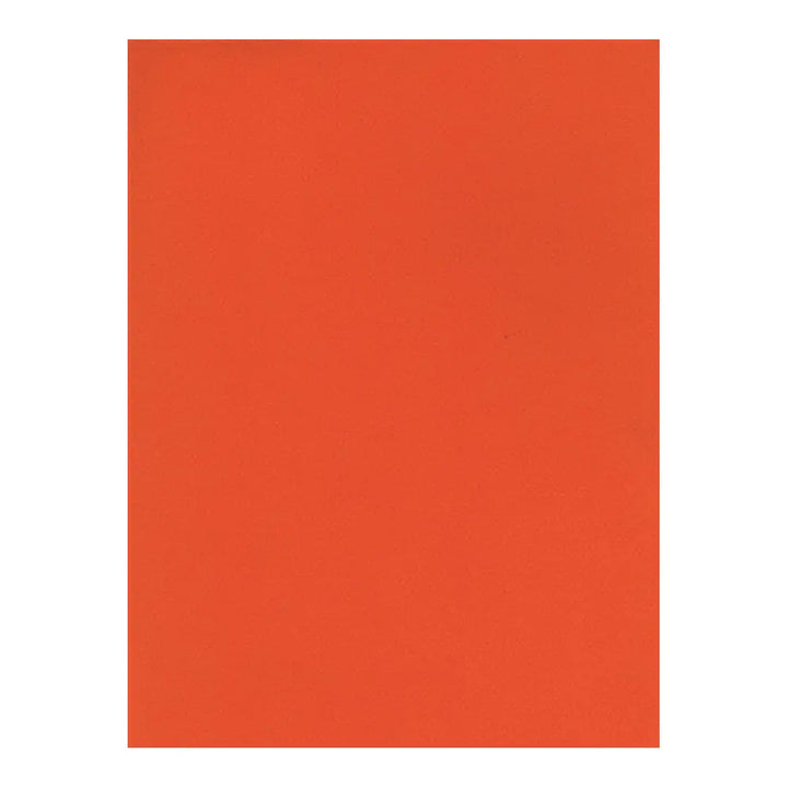 Canson 8.5x11 Mi-Teintes Paper