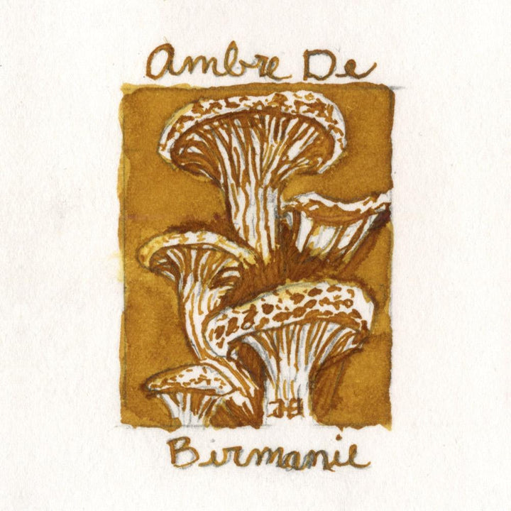 J. Herbin 10ml Fountain Pen Ink