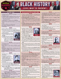 Black History, Civil War to Present Bar Chart (2025 Update) thumbnail