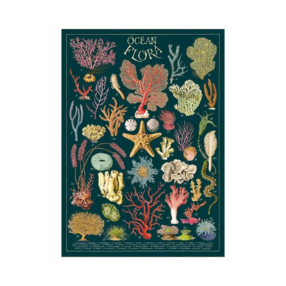Cavallini 20" x 28" Ocean Flora Decorative Paper