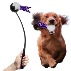 Photo of Little Earth W Huskies Pet Ball Launcher 3pc.
