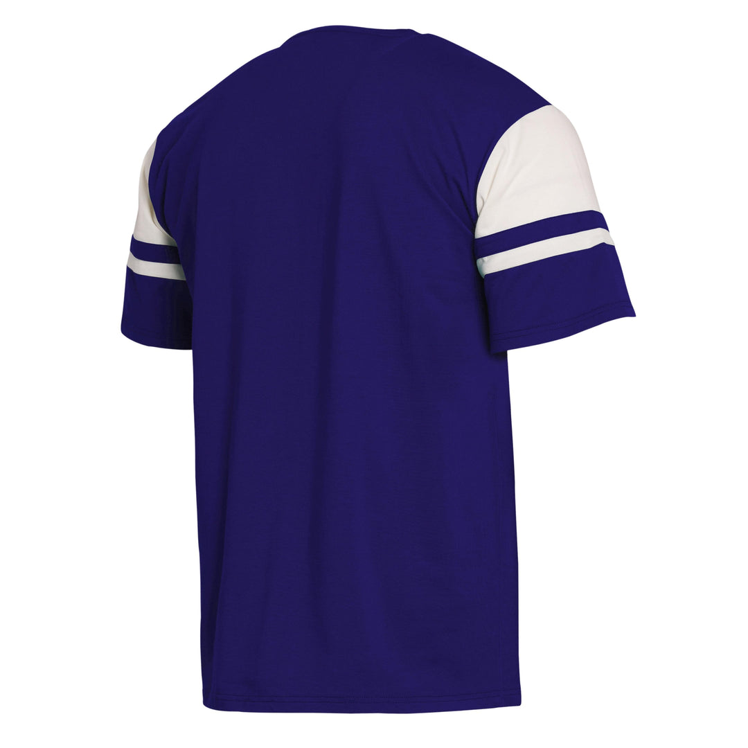 Darius Rucker Men's Washington Huskies FW24 Sleeve Stripe Heavy Tee