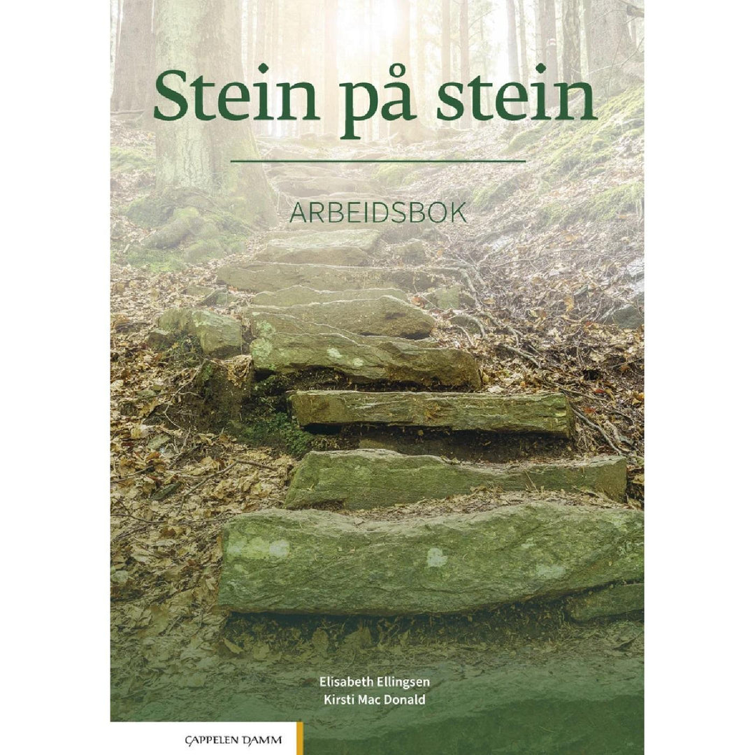 Stein Pa Stein, Arbeidsbok (Cappelen Damm, 2021)