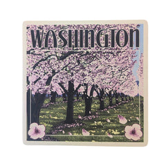 Photo of Lantern Press Washington Cherry Tree Blossoms Coaster.