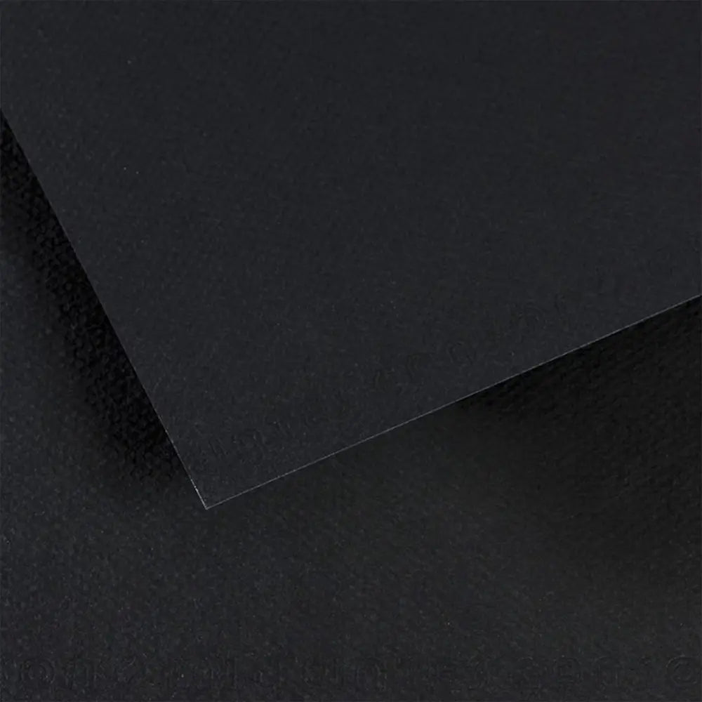 Canson 19x25 Mi-Teintes Paper