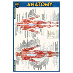 Photo of Anatomy Pocket Guide.