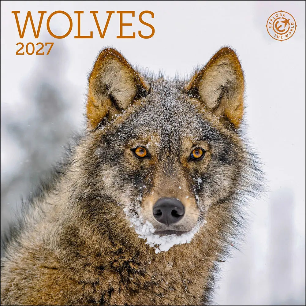 2027 Wolves Mini Calendar
