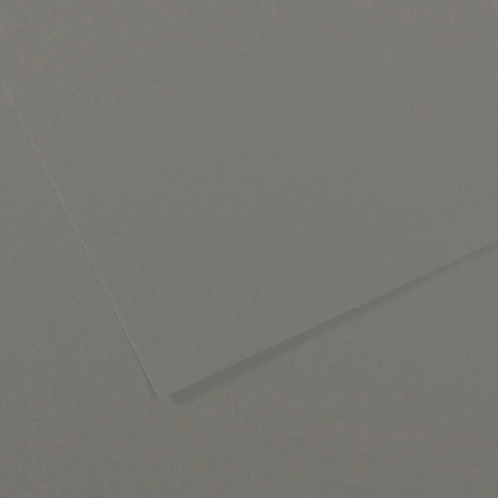 Canson 19x25 Mi-Teintes Paper