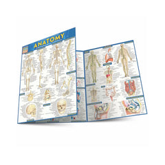 Photo of Anatomy Bar Chart.