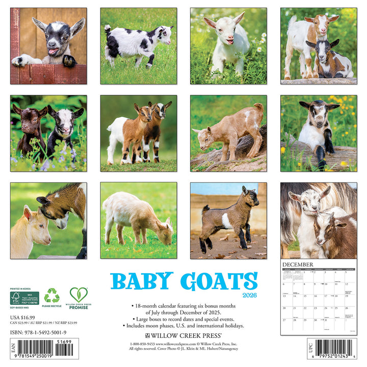 Small Changes Baby Goats 2026 Wall Calendar