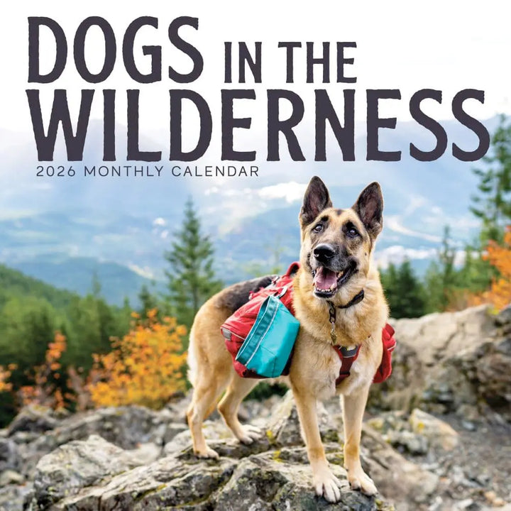 Small Changes Dogs in the Wilderness 2026 Wall Calendar