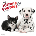 2027 Kittens & Puppies Wall Calendar thumbnail