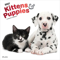 Photo of 2027 Kittens & Puppies Wall Calendar.