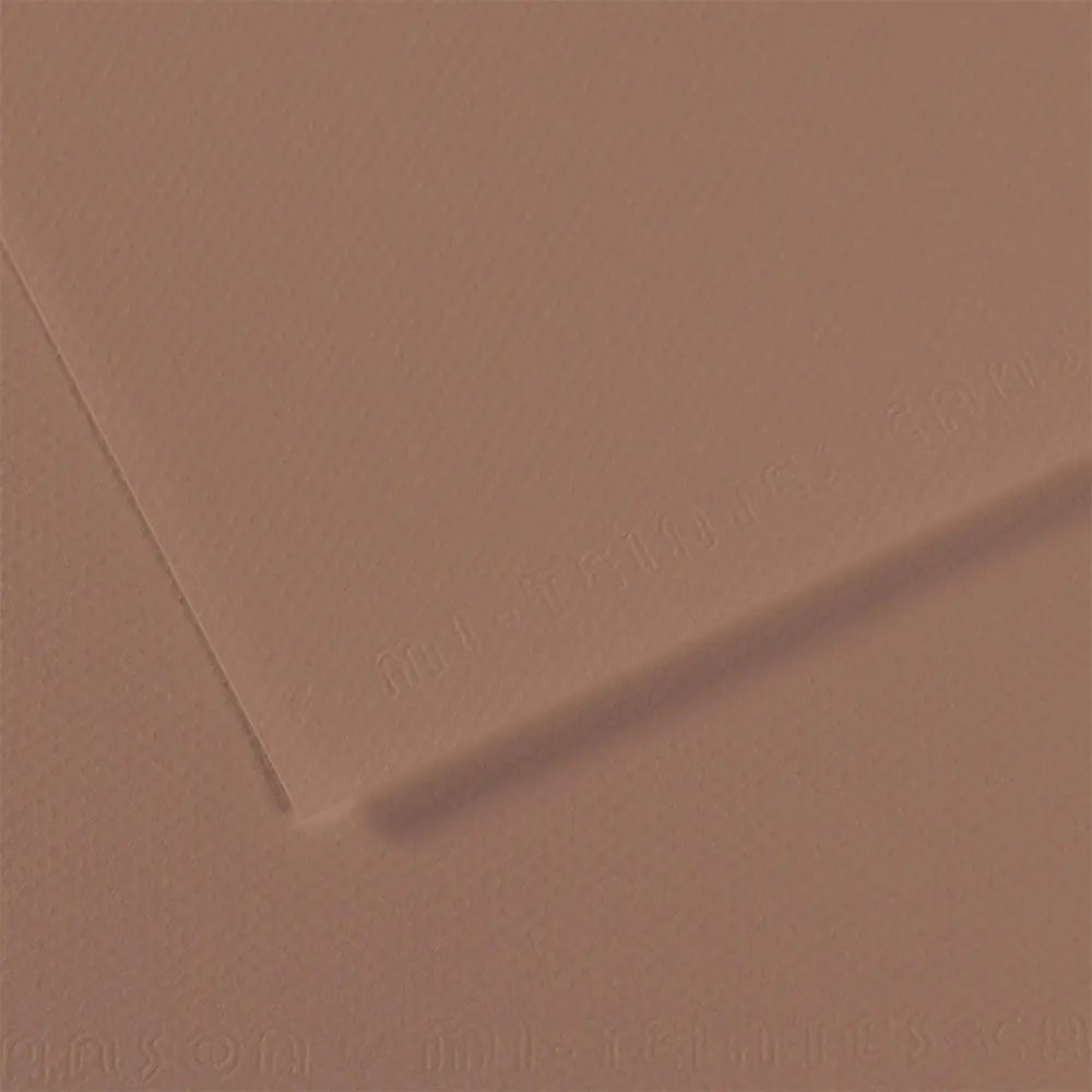 Canson 19x25 Mi-Teintes Paper