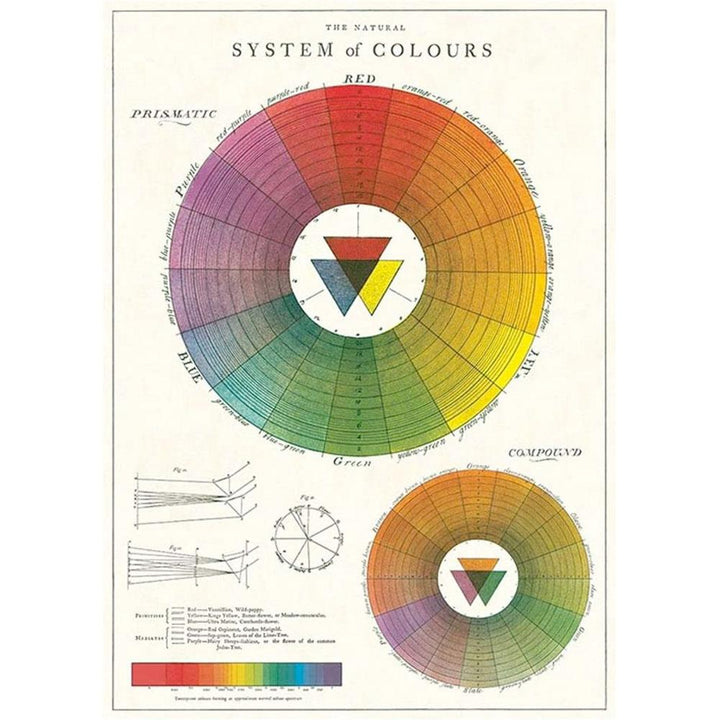 Cavallini & Co. 20" x 28" Color Wheel Wrap