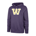47 Brand Men's W Headline Hoodie Front thumbnail