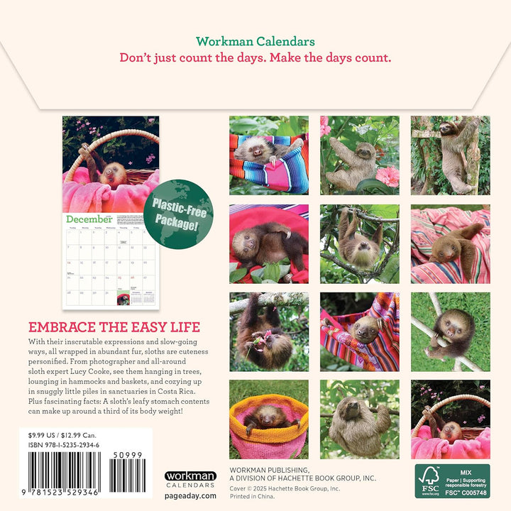 Original Sloths Mini Wall Calendar 2026
