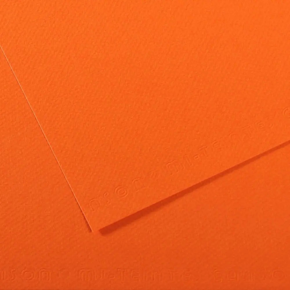 Canson 19x25 Mi-Teintes Paper