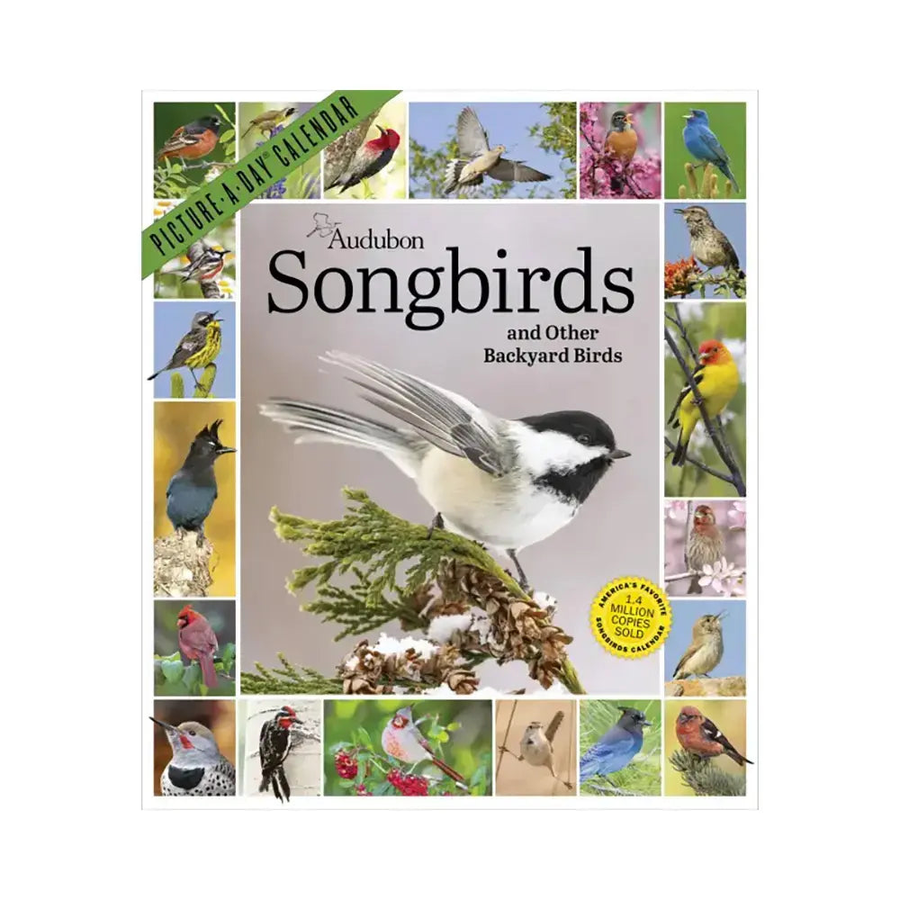 Audubon Songbirds and Other Backyard Birds Picture-A-Day Wall 2027 Calendar