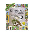 Audubon Songbirds and Other Backyard Birds Picture-A-Day Wall 2027 Calendar thumbnail