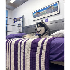 Photo of Dubs is lying on a purple-white-striped knit throw blanket..