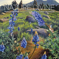 Phyllis Shafer Nature Divine 2027 Wall Calendar thumbnail