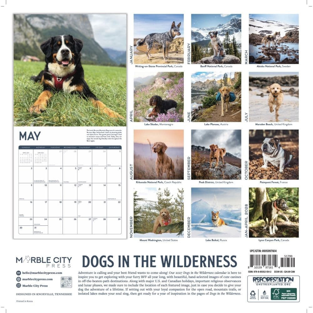 2027 Dogs in the Wilderness Wall Calendar