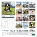 2027 Dogs in the Wilderness Wall Calendar thumbnail
