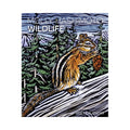 Molly Hashimoto Wildlife 2027 Mini Wall Calendar thumbnail