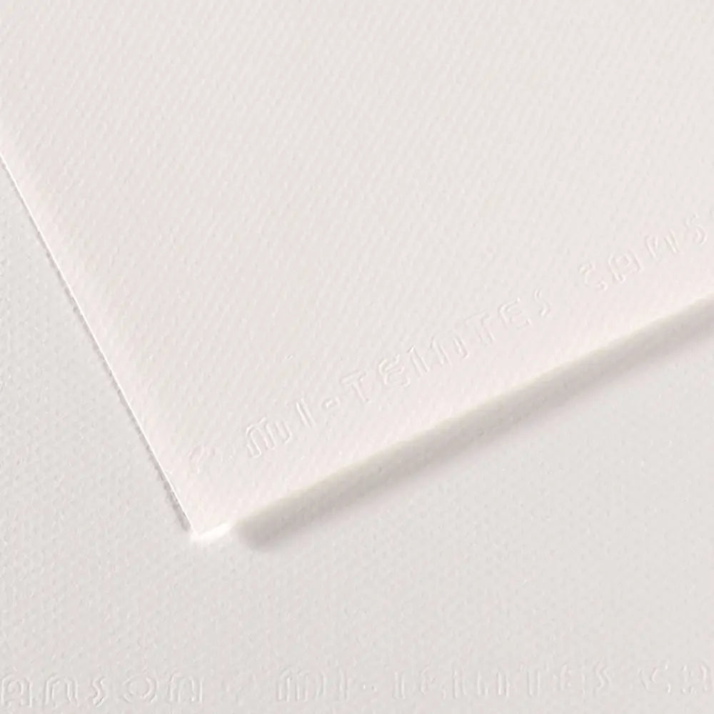 Canson 19x25 Mi-Teintes Paper