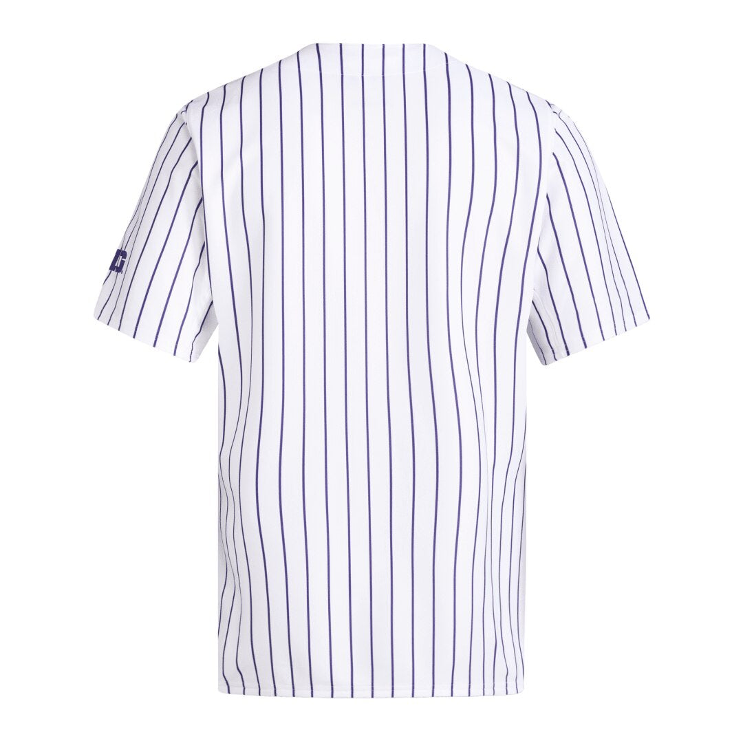 adidas Men's 2025 Huskies Pinstripe Baseball Jersey