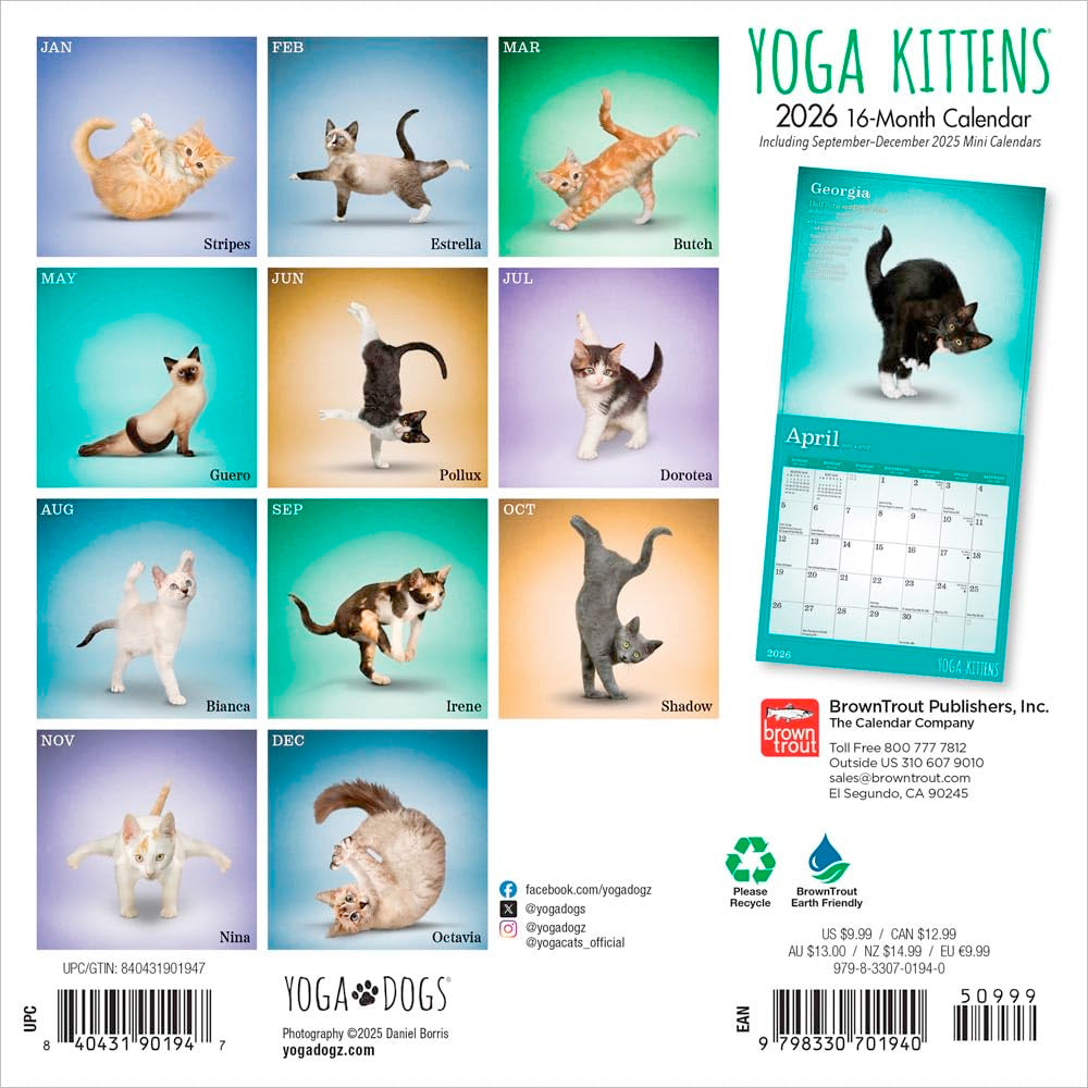 Small Changes Yoga Kittens 2026 Mini Wall Calendar