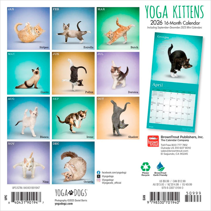 Small Changes Yoga Kittens 2026 Mini Wall Calendar