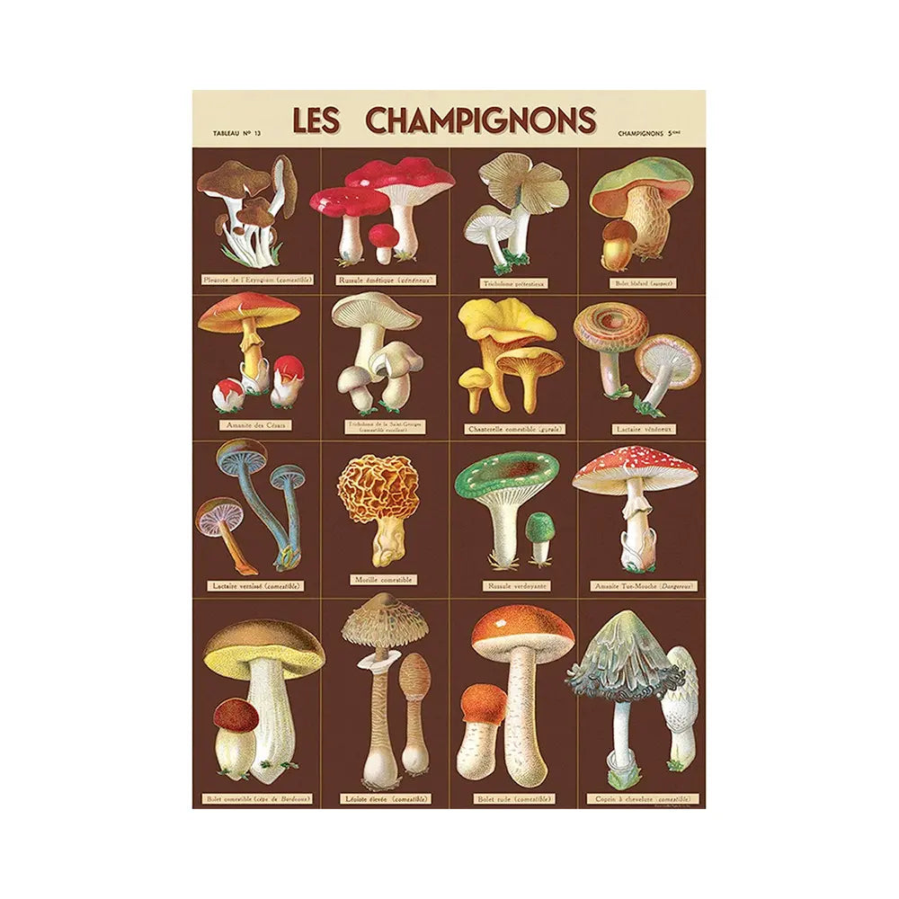 Cavallini 20" x 28" Les Champignons Decorative Paper