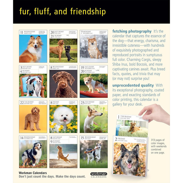 Dog Page-A-Day Gallery Calendar 2026