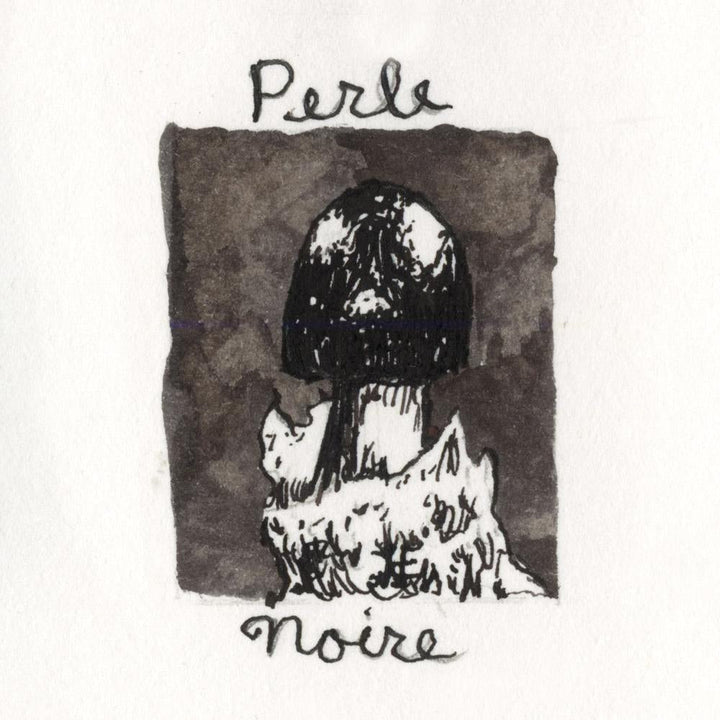 J. Herbin 10ml Fountain Pen Ink