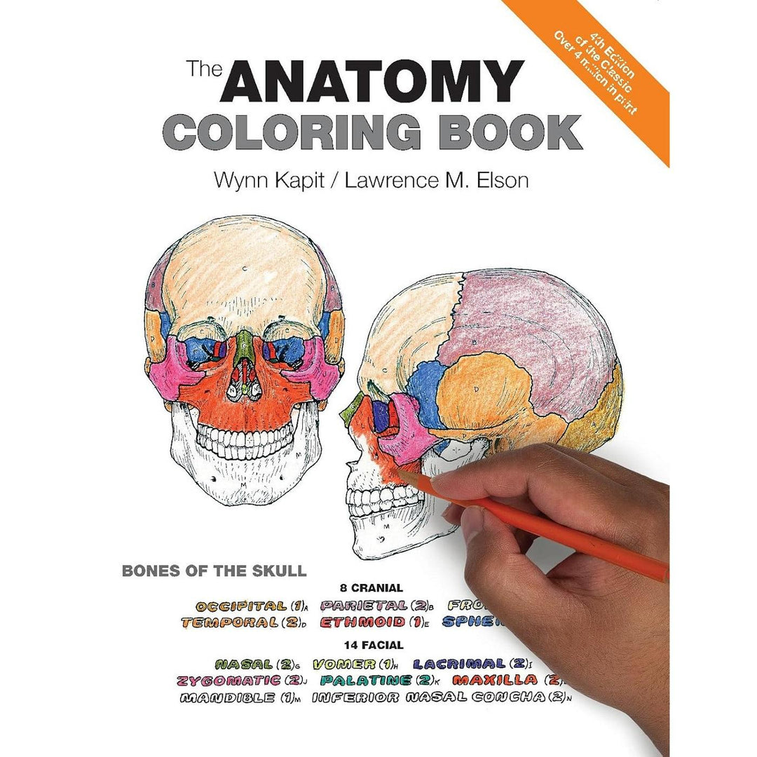 The Anatomy Coloring Book (4E 14)