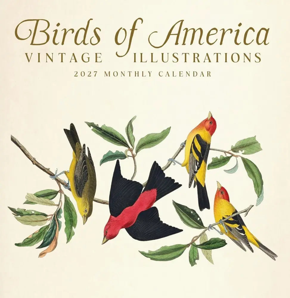 2027 Audubon's Birds of America Wall Calendar