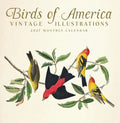 2027 Audubon's Birds of America Wall Calendar thumbnail