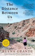 The Distance Between Us thumbnail