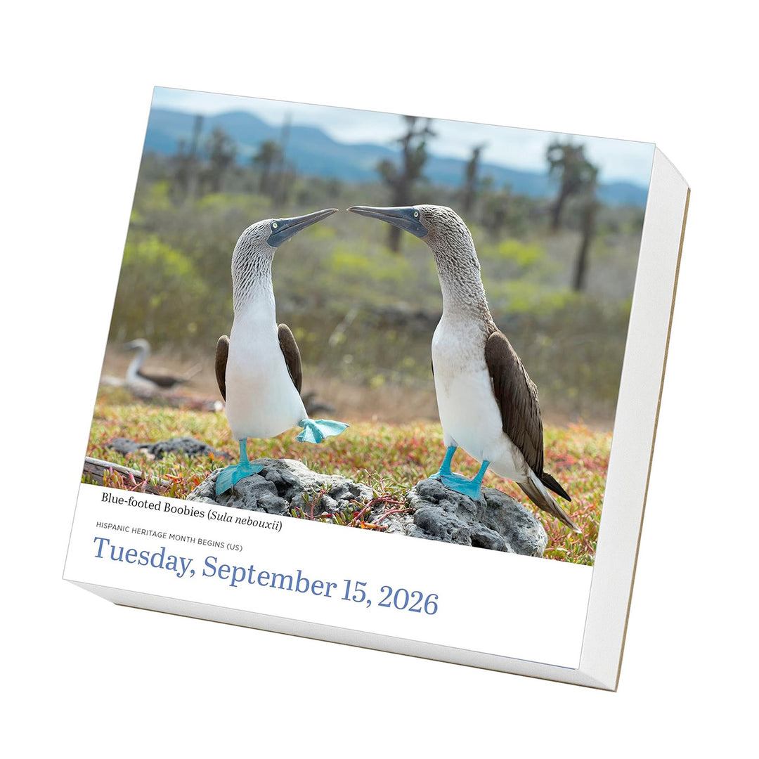 Audubon Birds Page-A-Day Calendar 2026