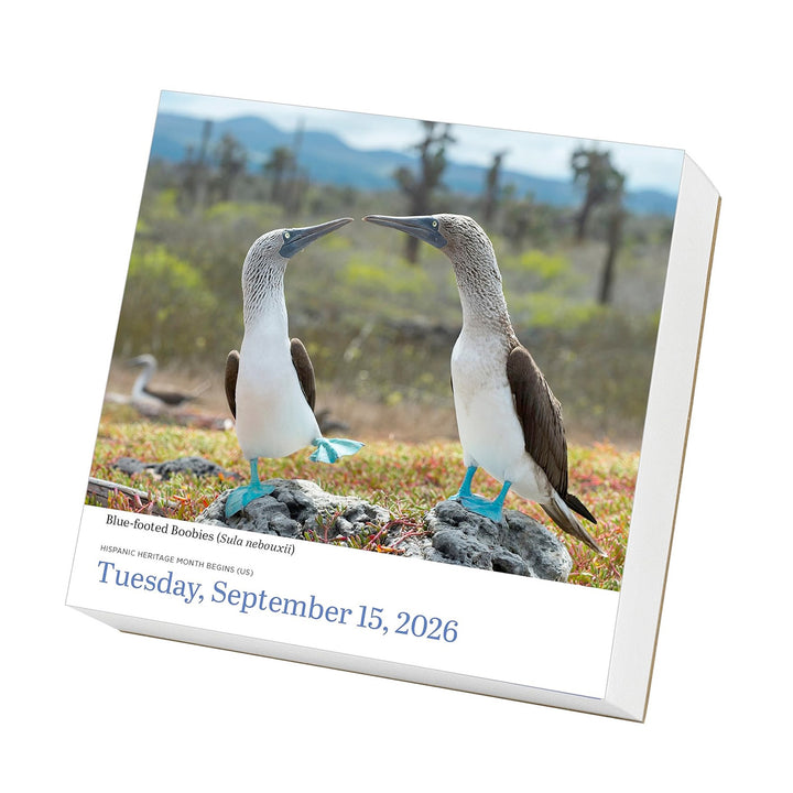Audubon Birds Page-A-Day Calendar 2026