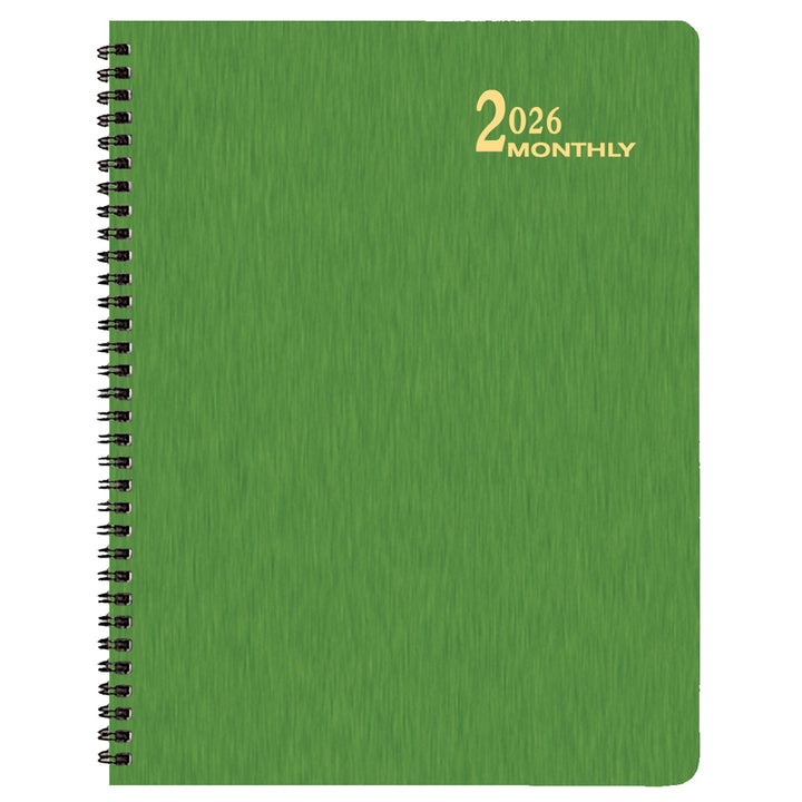 Payne Shimmer 2026 Annual 8.5" x 11" Monthly Planner