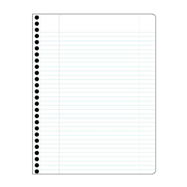 Decomposition Sea Turtles 7.5"x9.75" College Spiral 80ct